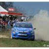 DSC_8769 Kopie